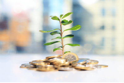 Calculadora do cidadão representada por uma planta crescendo sobre moedas, simbolizando o crescimento financeiro.